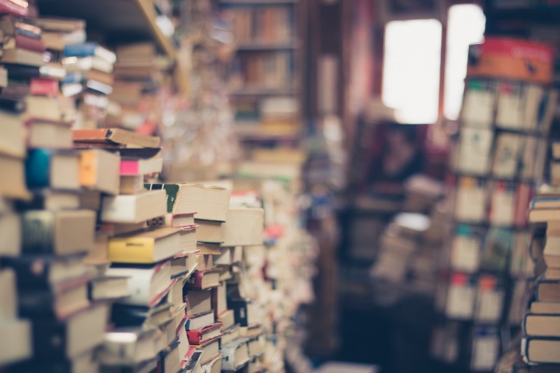 vitrine-DALUIS-min_books_stack_book_store_stack_of_books_2nd_hand_retro_hipster_shop-829090